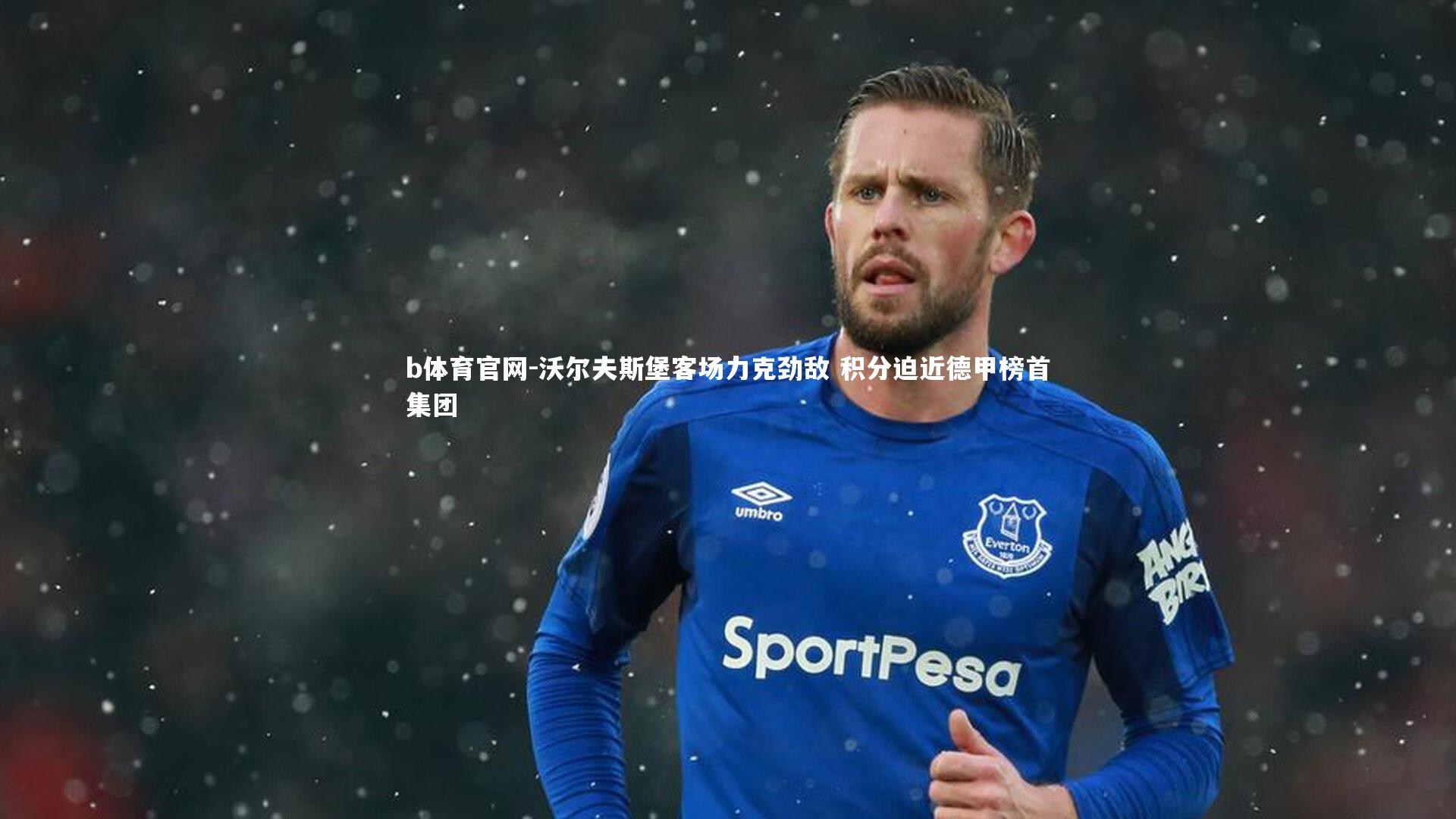 b体育官网-沃尔夫斯堡客场力克劲敌 积分迫近德甲榜首集团